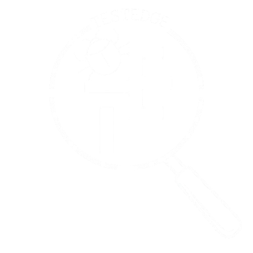 logo testedge blanco